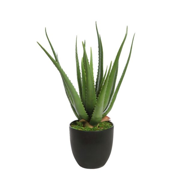 KD7006_0 ALOE ARTIFICIAL EN MACETA 56CM - Imagen 1