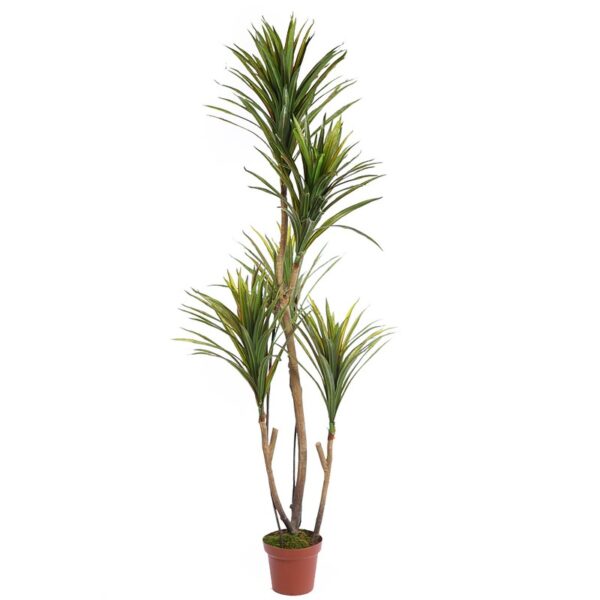 KD9002_0 YUCA ARTIFICIAL EN MACETA 185CM ANCHO 80CM - Imagen 1