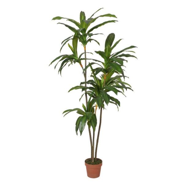 DRACENA ARTIFICIAL CON MACETA 175CM ANCHO 70CM - Imagen 1