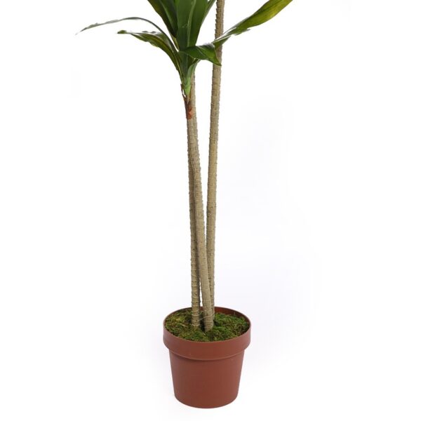 DRACENA ARTIFICIAL CON MACETA 175CM ANCHO 70CM - Imagen 3