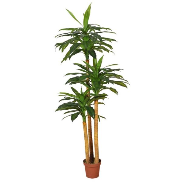 DRACENA ARTIFICIAL EN MACETA 170CM ANCHO 80CM - Imagen 1