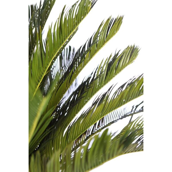 CYCA ARTIFICIAL EN MACETA 150CM ANCHO 90CM - Imagen 4