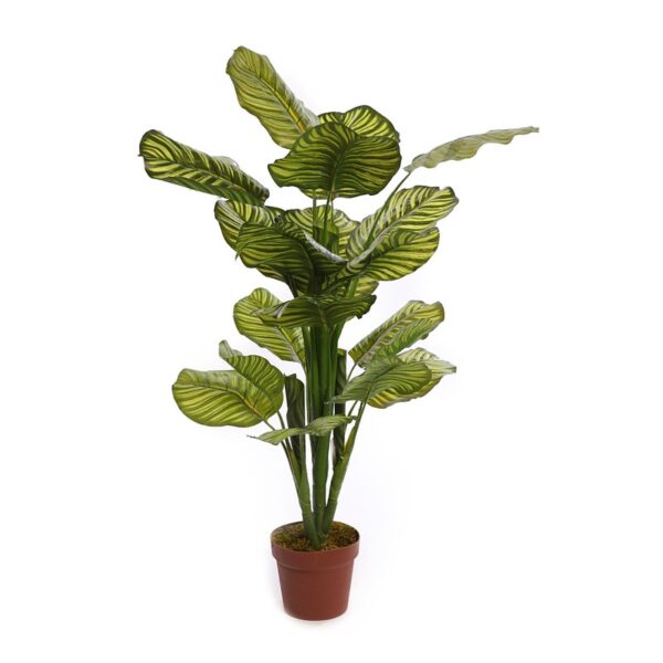 CALATHEA ARTIFICIAL EN MACETA 120CM - Imagen 1
