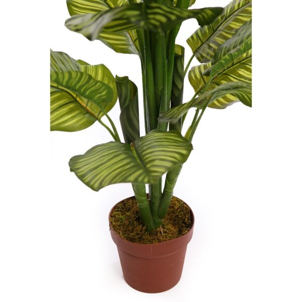 CALATHEA ARTIFICIAL EN MACETA 120CM - Imagen 3