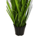 PLANTA GRAMINEA - Imagen 2