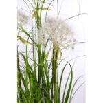 PLANTA GRAMINEA - Imagen 3