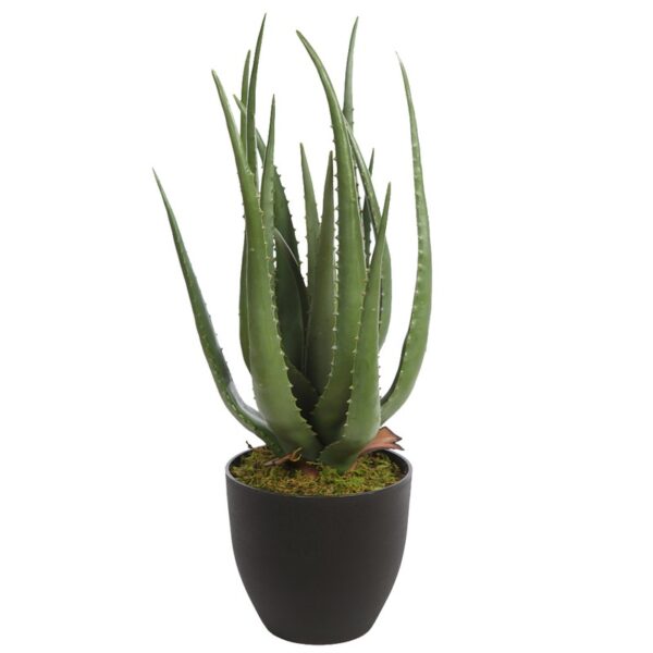 KD9209_0 CACTUS ALOE ARTIFICIAL 55CM - Imagen 1