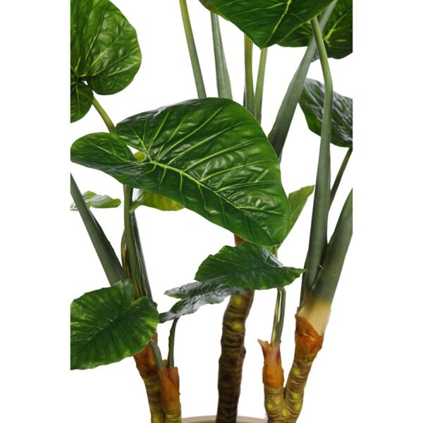 PLANTA COLOCASIA TARO ARTFICIAL 220CM - Imagen 3
