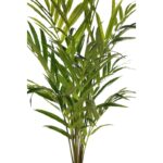 PALMERA KENTIA ARTIFICIAL 150CM - Imagen 3