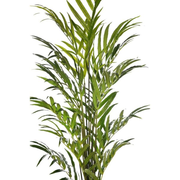 PALMERA KENTIA ARTIFICIAL 210CM - Imagen 2