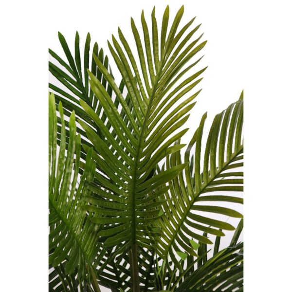 PALMERA ARECA 95CM - Imagen 2