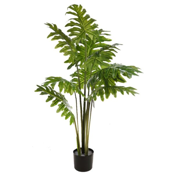 PLANTA DE MONSTERA DELICIOSA 120CM - Imagen 1