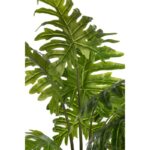 PLANTA DE MONSTERA DELICIOSA 120CM - Imagen 2