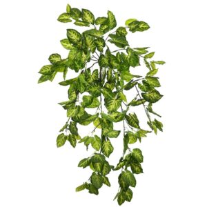 PLANTA SINGONIO COLGANTE 70CM