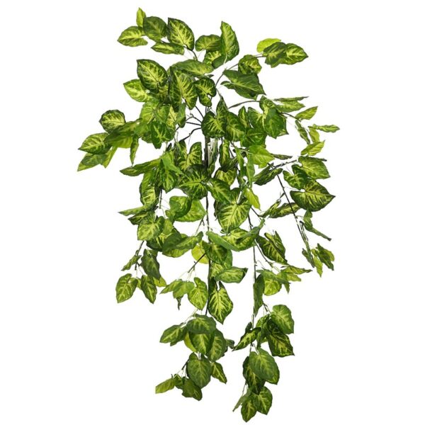 PLANTA SINGONIO COLGANTE 70CM - Imagen 1