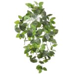 FITONIA COLGANTE ARTIFICIAL 80CM