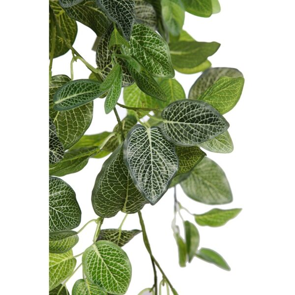 FITONIA COLGANTE ARTIFICIAL 80CM - Imagen 2