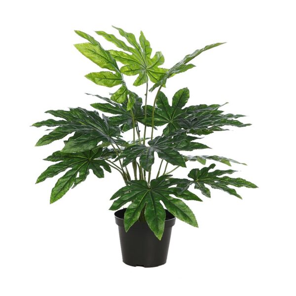 PLANTA ARALIA ARTIFICIAL CON MACETA - Imagen 1