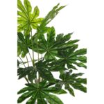 PLANTA ARALIA ARTIFICIAL - Imagen 2