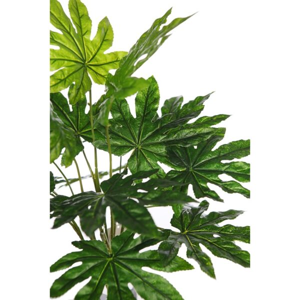 PLANTA ARALIA ARTIFICIAL - Imagen 2