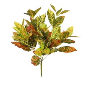 PLANTA CROTON 34 CM