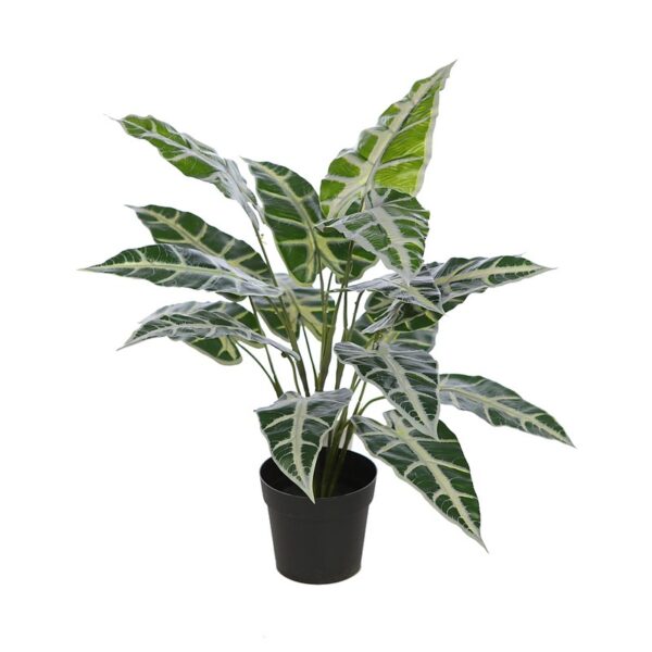 KOM3016M_0 PLANTA ALOCASIA SANDERIANA ARTIFICIAL - Imagen 1