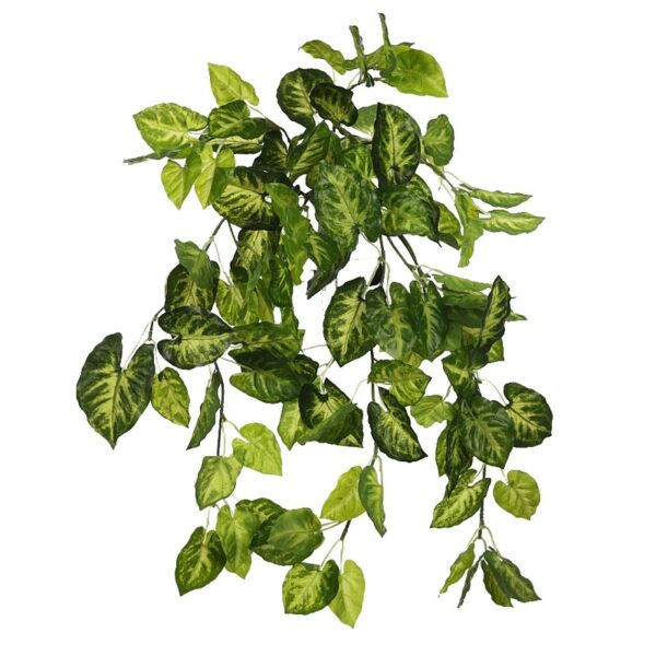 KS6005_0 PLANTA SINGONIO COLGANTE 50CM - Imagen 1