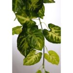 PLANTA SINGONIO COLGANTE 50CM - Imagen 2