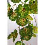 PLANTA COLGANTE ARTIFICIAL 50CM - Imagen 2