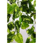 POTHO COLGANTE ARTIFICIAL 50CM - Imagen 2