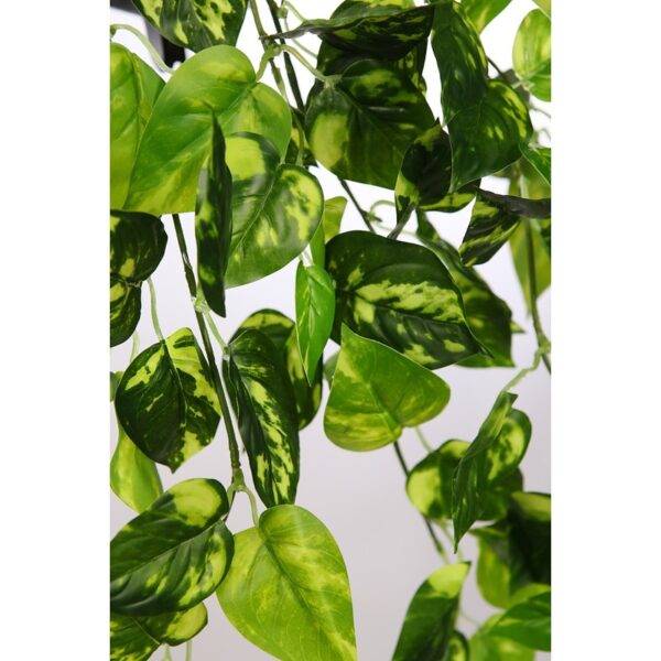 POTHO COLGANTE ARTIFICIAL 50CM - Imagen 2