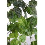 FITONIA COLGANTE ARTIFICIAL 120CM - Imagen 2