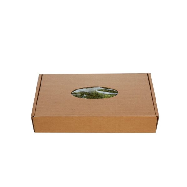 CAJA DE MUSGO FINLANDES PRESERVADO 400GR - Imagen 5