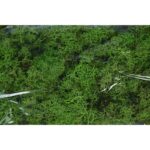 CAJA DE MUSGO FINLANDES PRESERVADO 400GR - Imagen 6