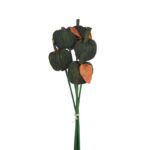 MANZANAS DE FIBRA SET X5 48CM - Imagen 2