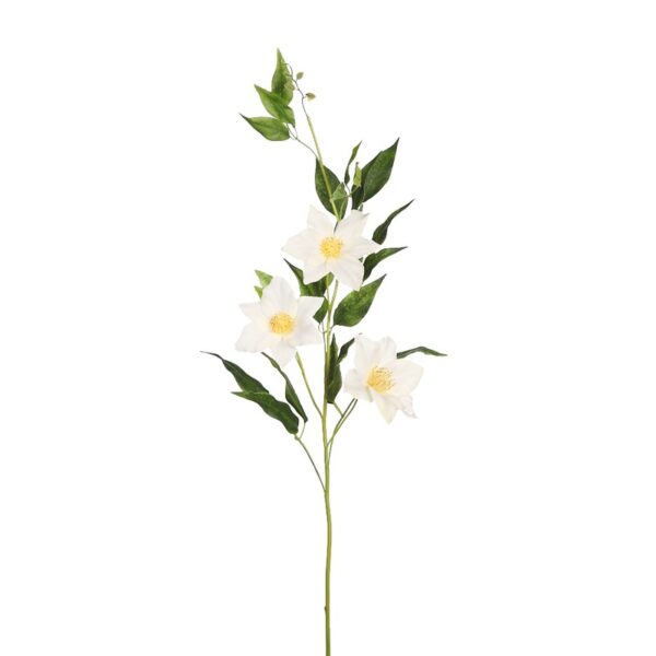 PL010202.01_0 VARA CLEMATIS - Imagen 1