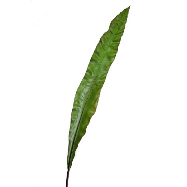 PL010558_0 HOJA ASPIDISTRA ARTIFICIAL 105CM - Imagen 1
