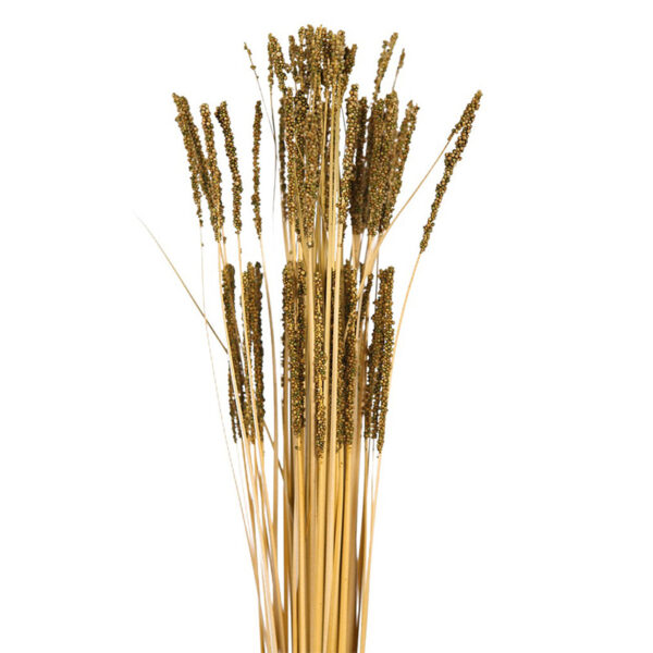 POMO GRASS OTOÑAL - Imagen 4