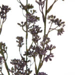 RAMA RELLENO ARTIFICIAL 65CM - Imagen 6