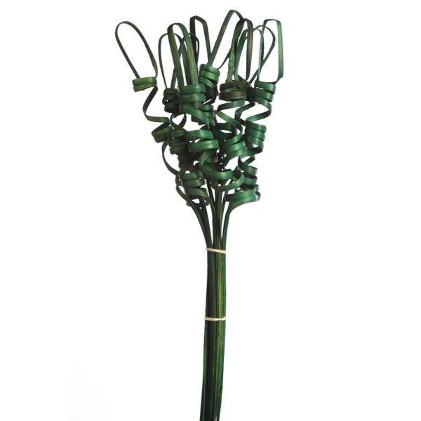 CANE TING TING 70CM - Imagen 1