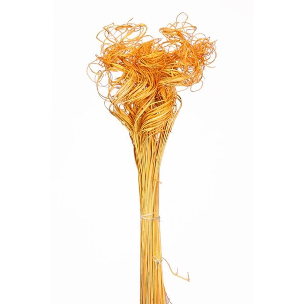 POMO CURLY TING TING  90CM - Imagen 1