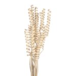 CANE SPRING X 15, 50 CM