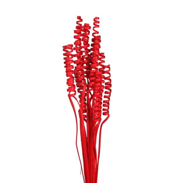 CANE SPRING X 15, 50 CM - Imagen 2