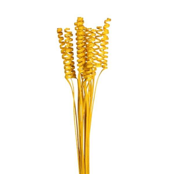 CANE SPRING X 15, 50 CM - Imagen 3