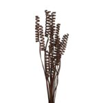 CANE SPRING X 15, 50 CM - Imagen 6