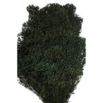 POMO BROOM OSCURO 55CM - Imagen 2