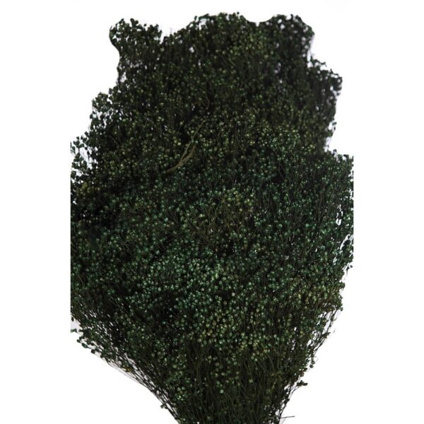 POMO BROOM OSCURO 55CM - Imagen 2