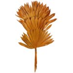 PALM SUN SPEAR X6  45CM