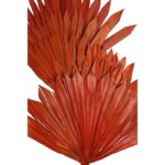 PALM SUN SPEAR X6  45CM - Imagen 4