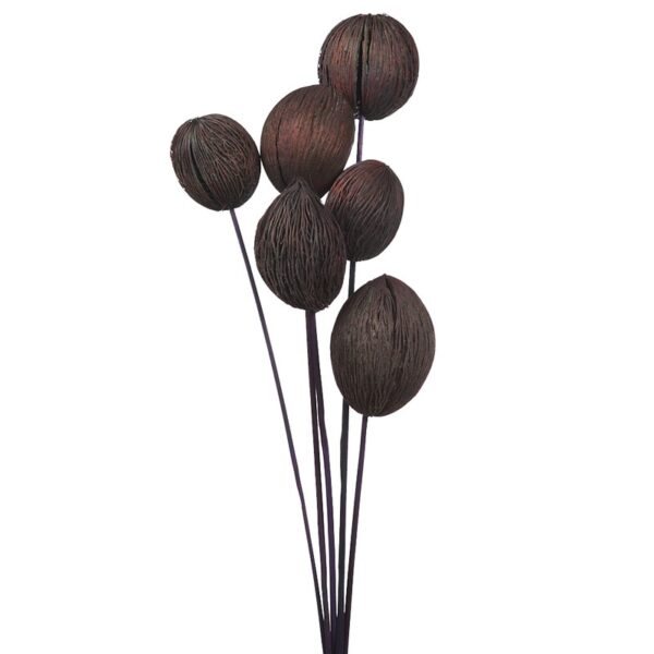 MINTOLA POMO X5 56CM - Imagen 1